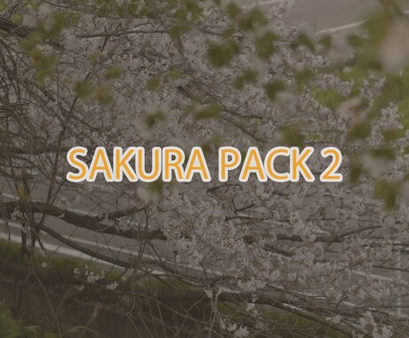 桜の映像素材パック1-7 桜の動画素材売ります ビデオストックサービスで売れている映像素材をセットで販売 イメージ2