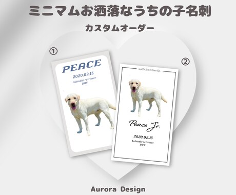 ミニマムでお洒落なうちの子名刺を作成します 《両面印刷・送料込み》ドッグランや交流会で大活躍/ペット名刺 イメージ2