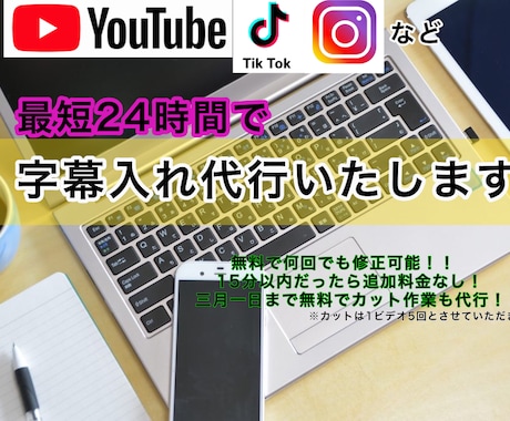 どんな動画でも格安で字幕代行します イメージ1