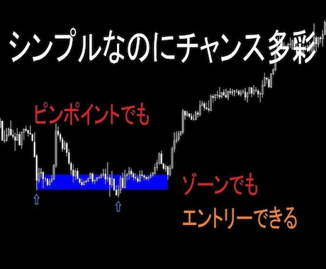 本物のトップトレーダーがプロのFX技術を伝授します 【中級】プロ達が駆使する最高峰の投資術をあなたに イメージ2