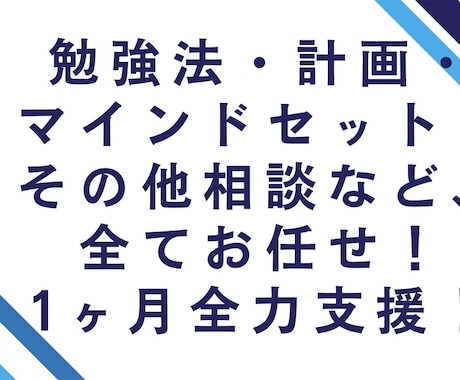 現役医大生があなたの勉強に１ヶ月間寄り添います 勉強方法・計画、その他相談など1ヶ月間サポート！ イメージ1