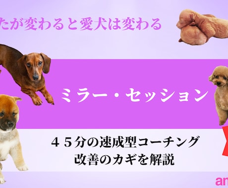 オリジナルメソッド『ミラー・セッション』提供します 〜どこが間違っているの？を一気解決。あと少しの工夫が成功へ〜 イメージ1