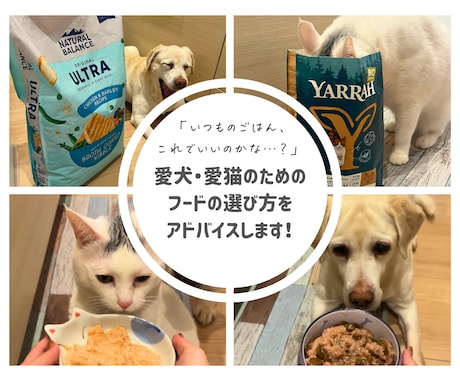 愛犬・愛猫のためのフードの選び方をアドバイスします 「ごはん、これでいいのかな…？」 イメージ1