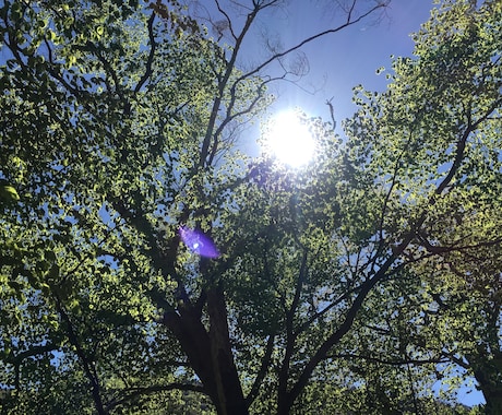 心のモヤモヤ吐き出してください。3分でもお聞きます 海外在住で経験豊富な私が、どんな話も優しくお聞きます イメージ1