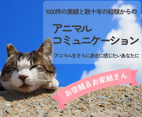 アニマルコミュニケーションいたします お空組さんOK☆大切なアニマルたちの気持ちをお伝えします イメージ1