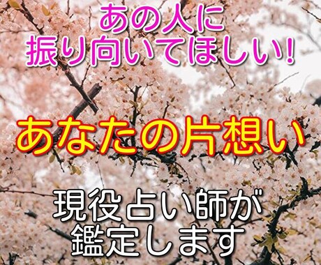 貴女の片想いについての悩みを霊視で詳しく鑑定します 霊視をベースに心理学を取り入れた独自の恋愛鑑定です イメージ1