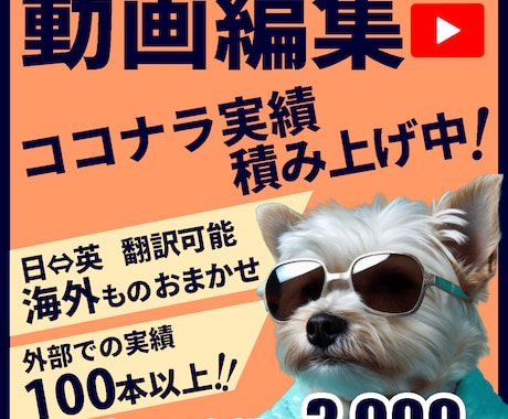 丁寧な編集&円滑なコミュニケーションをお約束します 日⇔英翻訳いたします！動画編集を承ります イメージ1