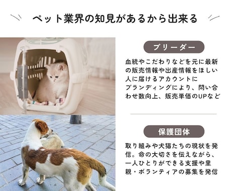 丸投げ【モニター価格】ペットのSNS運用代行します ペットの譲渡、ブランディングなど理想をペットのプロが叶えます イメージ2