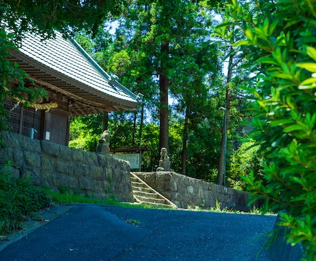 感情に訴え、読者をファン化する記事を執筆します 【プロ写真家】写真の力とプロのライティングで刺さる記事 イメージ1