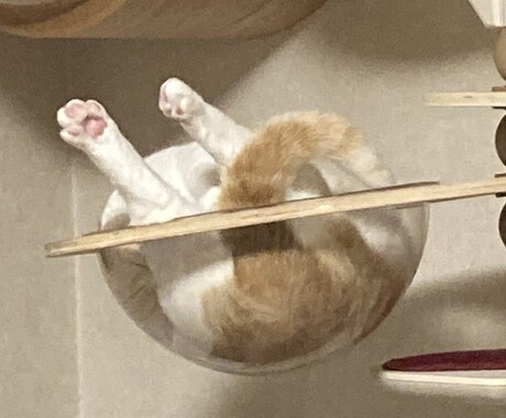 貴方の伴侶の特徴をお伝えします どのような姿で、どんな性格なのか!? イメージ2