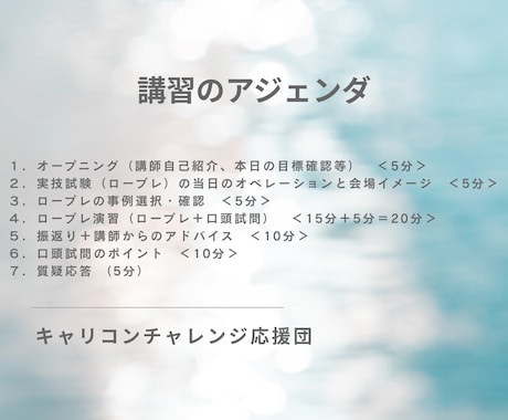 キャリコン_オールA合格者がロープレ指導実施します ロープレ・口頭試問を本番レベルで練習｜オールA合格者が指導 イメージ2