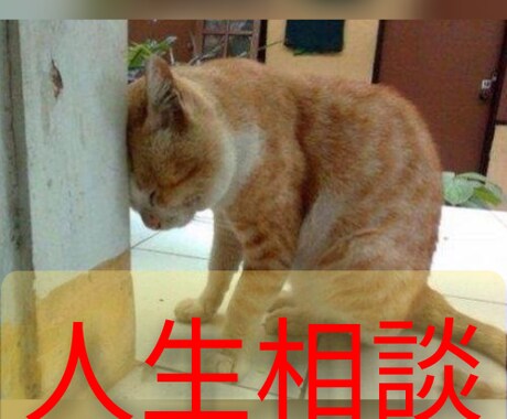開運◆人生全般の相談にのります あなたの心に周波数を合わせて親身に寄り添う味方になります イメージ1