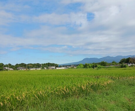 保育、子供分野のレポート・小論文作成支援 します AI使用無し！最良・最安、迅速・丁寧がモットーです♪ イメージ2