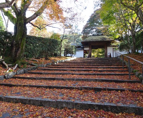 京都のおすすめ場所やお店などのご相談に応じます 京都検定２級、市内で訪れた場所は千件以上の経験からアドバイス イメージ1