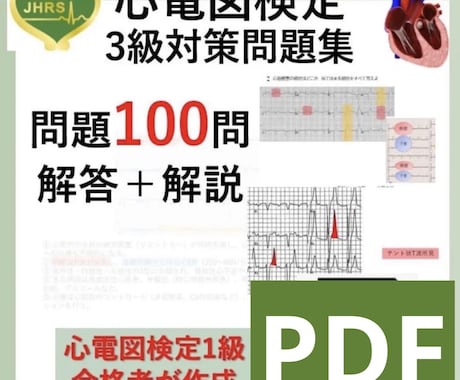 心電図検定3級勉強資料セットをお売りします 心電図検定1級取得者が作成した3級試験対策セット！ イメージ1