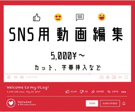 SNS用動画編集をします いいセンス、アニメーション付き文字起こし動画 FOR YOU イメージ1