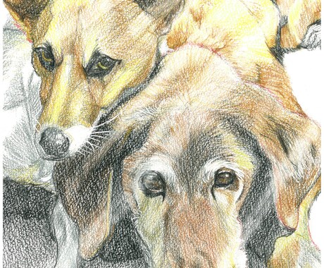 色鉛筆で大切なペットのイラストを描きます ペットとの大切な思い出や記念をイラストとして残しませんか？ イメージ2