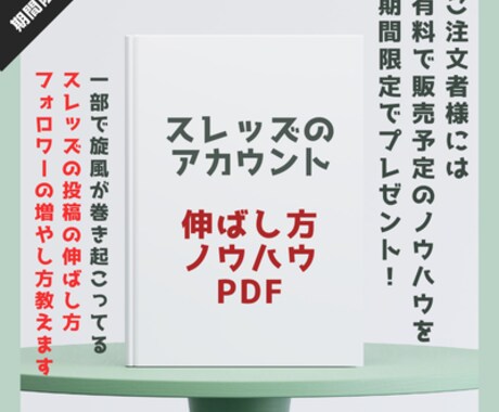 Threadsスレッズの日本人フォロワー増やします 【期間限定】スレッズを伸ばすノウハウPDFプレゼント中 イメージ2
