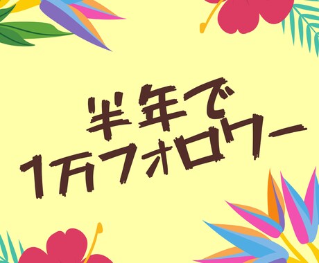 インスタグラムで1万フォロワー獲得する方法教えます 【期間限定価格】アルゴリズムから考えるフォロワー増加方法 イメージ1