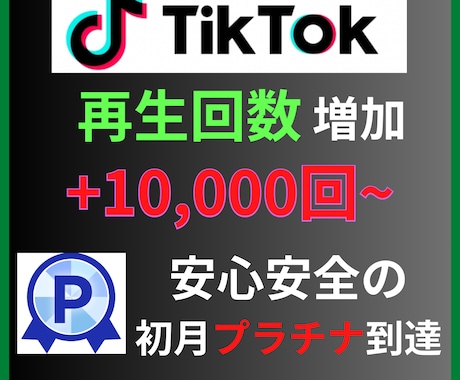 10,000回~Tiktok再生回数増加させます TikTok動画宣伝します！再生回数増加確実！ イメージ1