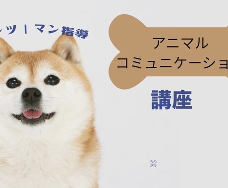 アニコミ講座のマンツーマン指導致します アニコミ講座ご購入の方へのマンツーマン指導 イメージ1