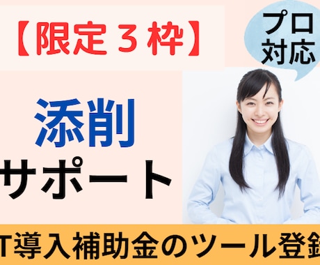 限定３枠∥IT導入補助金ツール登録を【添削】します 中小企業診断士対応／事務局の専門家経験あり／支援実績多数 イメージ1