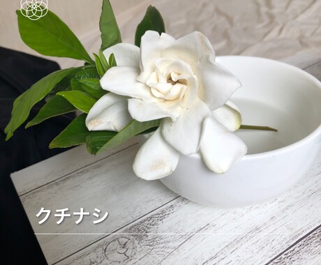 占います 笑うに笑えない心に刺さった小さなトゲ抜くのをお手伝い イメージ1
