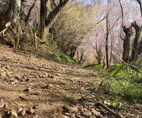 人間関係、恋愛、愚痴など相談に乗ります！！ます 誰でも相談に乗ります☺️気軽にどうぞ〜！ イメージ1