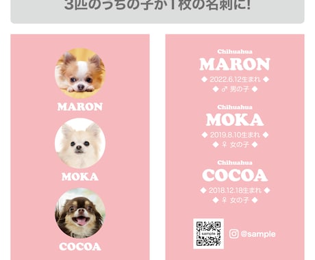 3匹用　シンプルデザイン　うちの子名刺お作りします 【両面印刷100枚】送料無料　セミオーダー　QRコード入り イメージ2