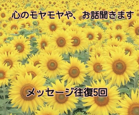 ５往復 心のモヤモヤや、悩み事、愚痴など聞きます コミュニケーション検定取得者が、あなたのお話お聞きします イメージ1