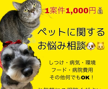 ペットに関するご相談承ります 動物に関する相談等、お悩み事に対しての解決策をお手伝いします イメージ1