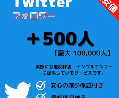 Twitter★フォロワー+500人増加します 【最高品質】保証あり｜最短即日納品｜最大10万人 イメージ1