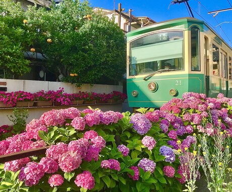 映える神奈川の旅プラン作成します 美しい景色や驚きの体験など映える旅を紹介します イメージ2
