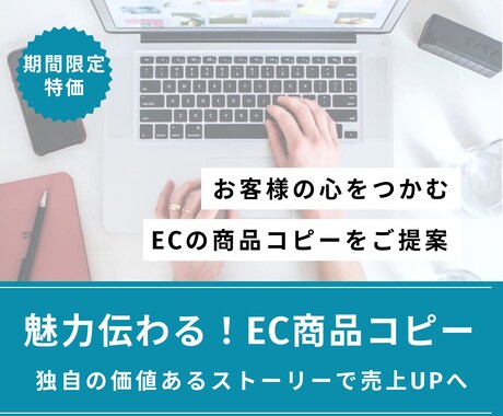 魅力ある商品コピー・キャプション作成をします お客様の心をつかむ独自ストーリーでEC売上UPに貢献！ イメージ1
