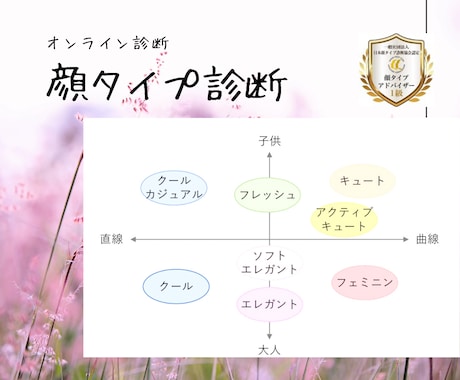 顔タイプ診断☆あなたの魅力のポイントをお伝えします 顔タイプ診断で「似合う」がわかり、あなたの魅力が輝く！ イメージ1