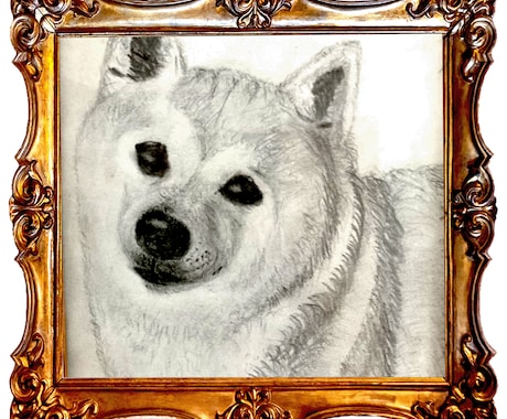 鉛筆でお犬さんを描きます お犬さんの思い出の写真を鉛筆画にいたします。 イメージ2