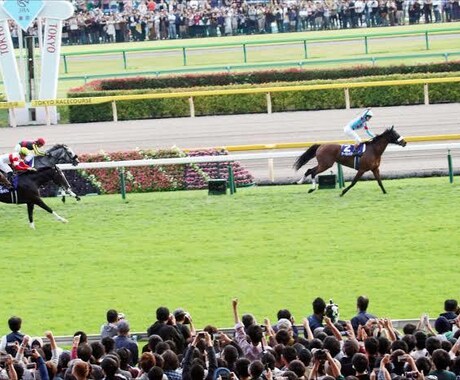 久しぶりに4レースセット販売します 15年間独自の方法で競馬予想。あなたの予想に絡め勝負！ イメージ1