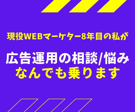 現役プロがWEB広告運用の相談に乗ります 現役WEBマーケター8年目の私が教える！広告運用サポート イメージ1