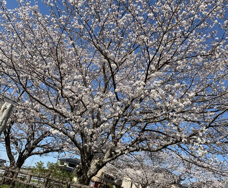 夫婦間の悩み事お聞きします 誰にも言えない事お引き受けします。 イメージ1