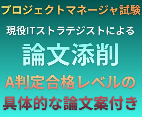 CBT対応！プロマネ/PMPが論文添削します PM未経験可。プロマネA判定合格論文の具体的修正案つき イメージ1