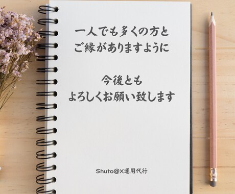 成果にコミット！X立ち上げ伴走します ビデオチャットでXアカウント立ち上げ支援と運用指南をします イメージ2