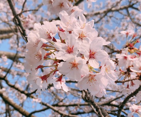 日常生活でのお悩み何でも受け付けます 誰かに直接お悩み相談するのはちょっと気が引けてしまう方へ イメージ1