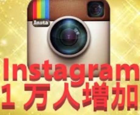 インスタグラム】フォロワー数10000人増します リアルユーザーにweb広告を使ってInstagramを拡散 イメージ1