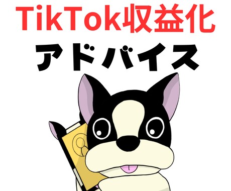 TikTok動画の収益化アドバイスなどをします 自称コンサルとは違います。実績ある投稿者目線でのアドバイス イメージ1