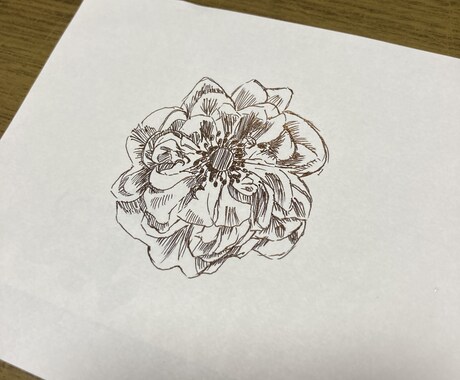 好きなお花や家族の一員ペットの似顔絵描きます 鉛筆、ボールペンのみで仕上げます✏️色はつきません。 イメージ2