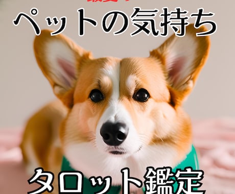 大切な家族の1人♡ペットのお気持ち鑑定いたします 天国に行ったご家族、忘れられない大切なあの子が伝えたいこと イメージ1