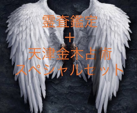 お試し価格】霊査＋天津金木占術で鑑定します 天津金木占術で占い、さらにその結果を詳しく霊査します！ イメージ1