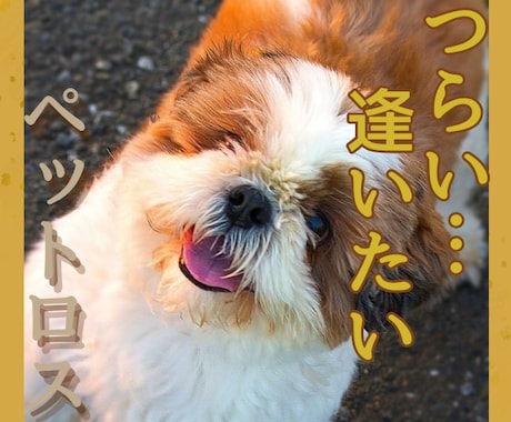 もう一度抱きしめて伝えたい！別れの辛さ寄り添います ペットロス/別れ/後悔/グリーフケア/ロス経験者/心理資格有 イメージ1