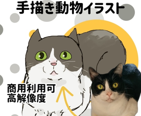 動物をゆる可愛く描きます