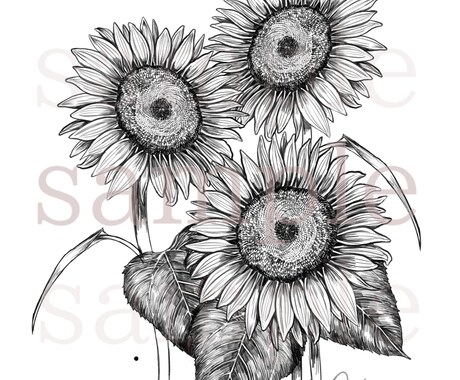 ペン画風の植物お描きします ペン画風のモノクロ版、カラー版イラストお描きします。 イメージ2